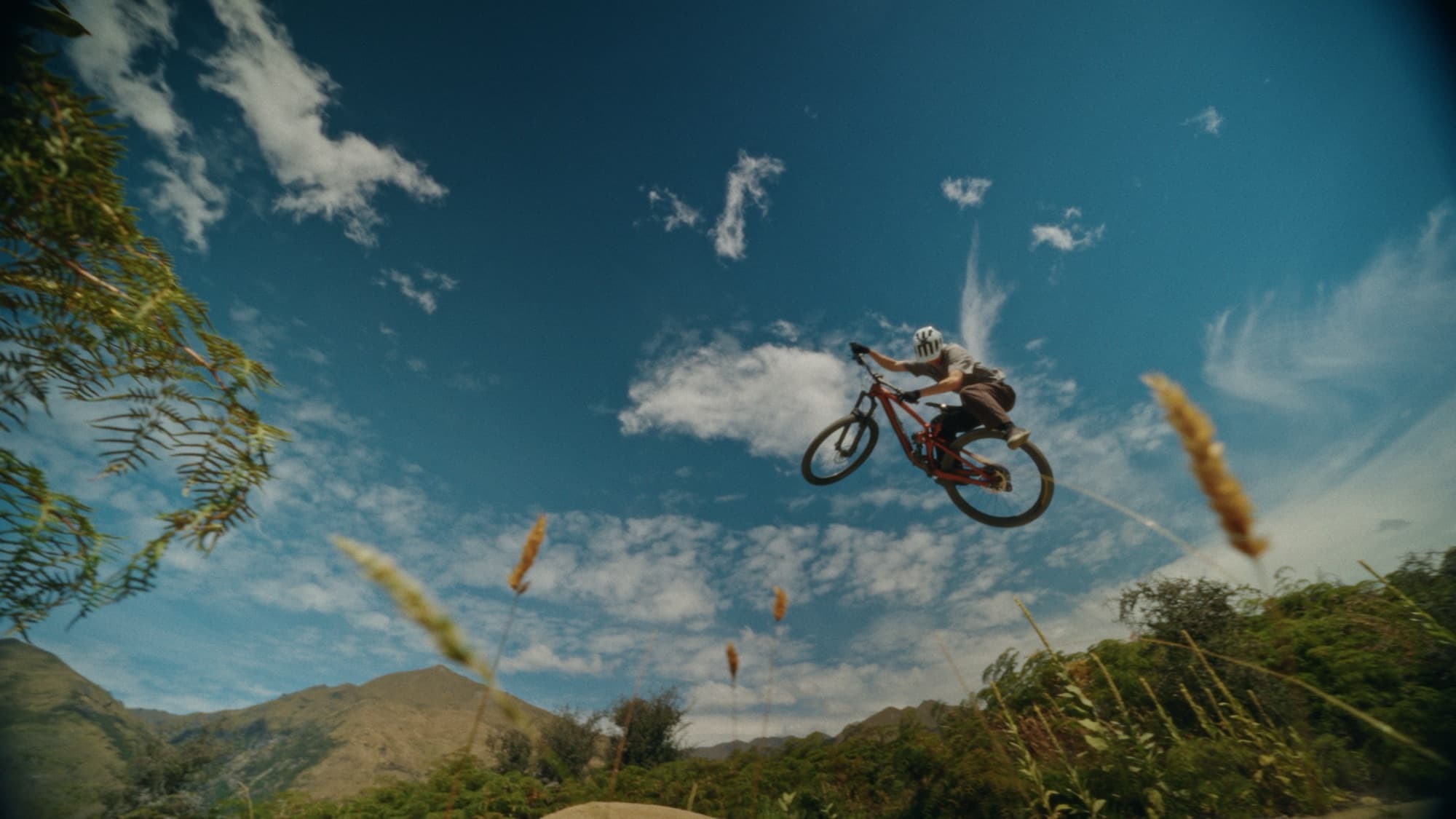 Shimano × Bike Glendhu, image 2